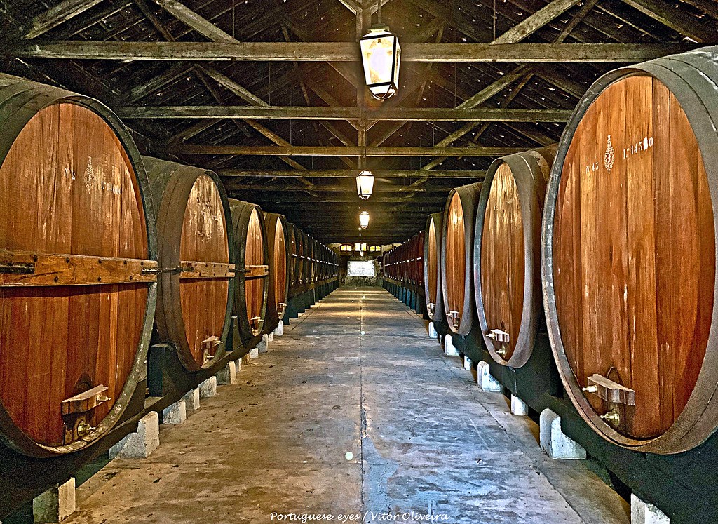 Barricas de vinho numa adega tradicional portuguesa